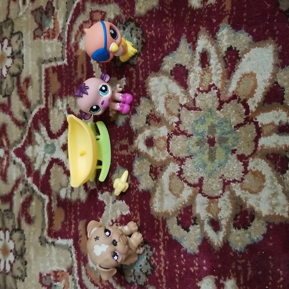 Littlest Pet Shop - Rare